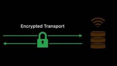 加密DNS成为共识