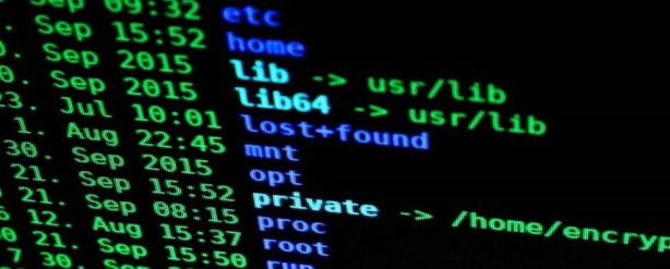 研究人员通过智能攻击入侵了苹果,特斯拉等