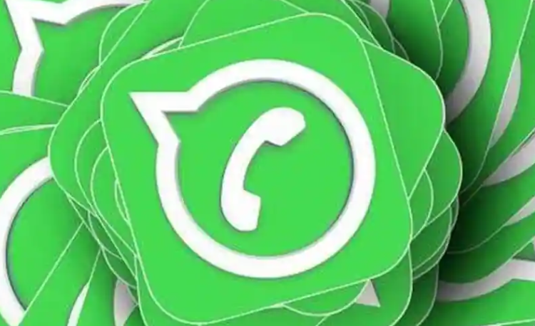 如何在WhatsApp Web中创建,管理目录